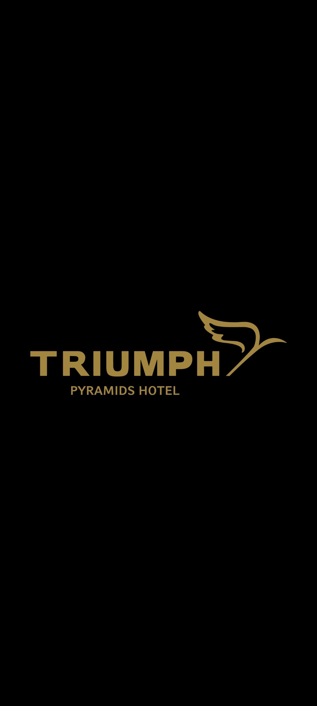رقم أبراج فندق تريومف بيراميدز أكتوبر 01101191415 Triumph Pyramids Hotel شركة MA محمد أيوب